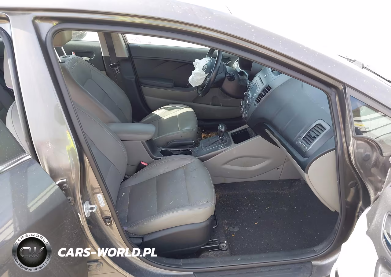 2014 Kia Forte Ex VIN:KNAFZ4A82E5066438 - 5