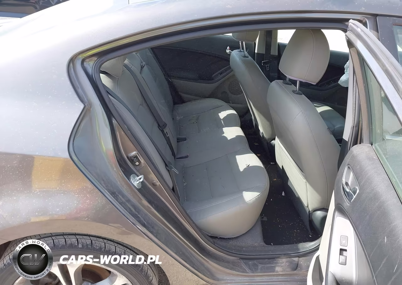 2014 Kia Forte Ex VIN:KNAFZ4A82E5066438 - 8
