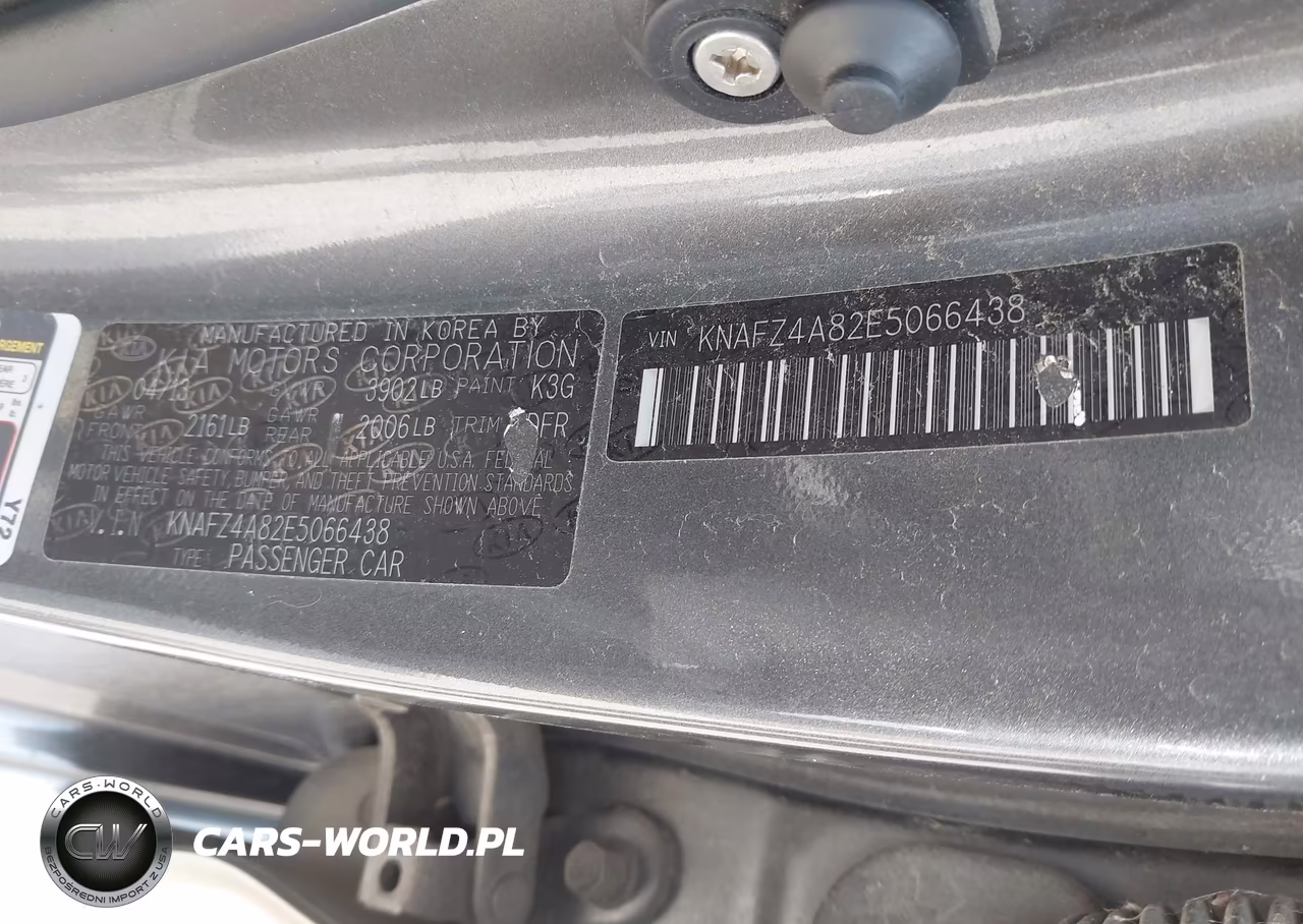 2014 Kia Forte Ex VIN:KNAFZ4A82E5066438 - 9