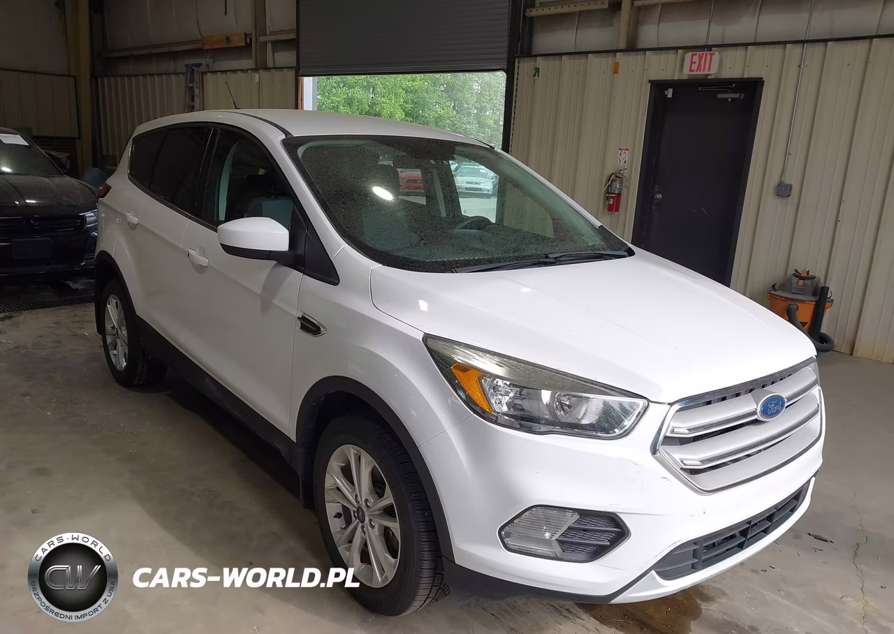 2019 Ford Escape Se