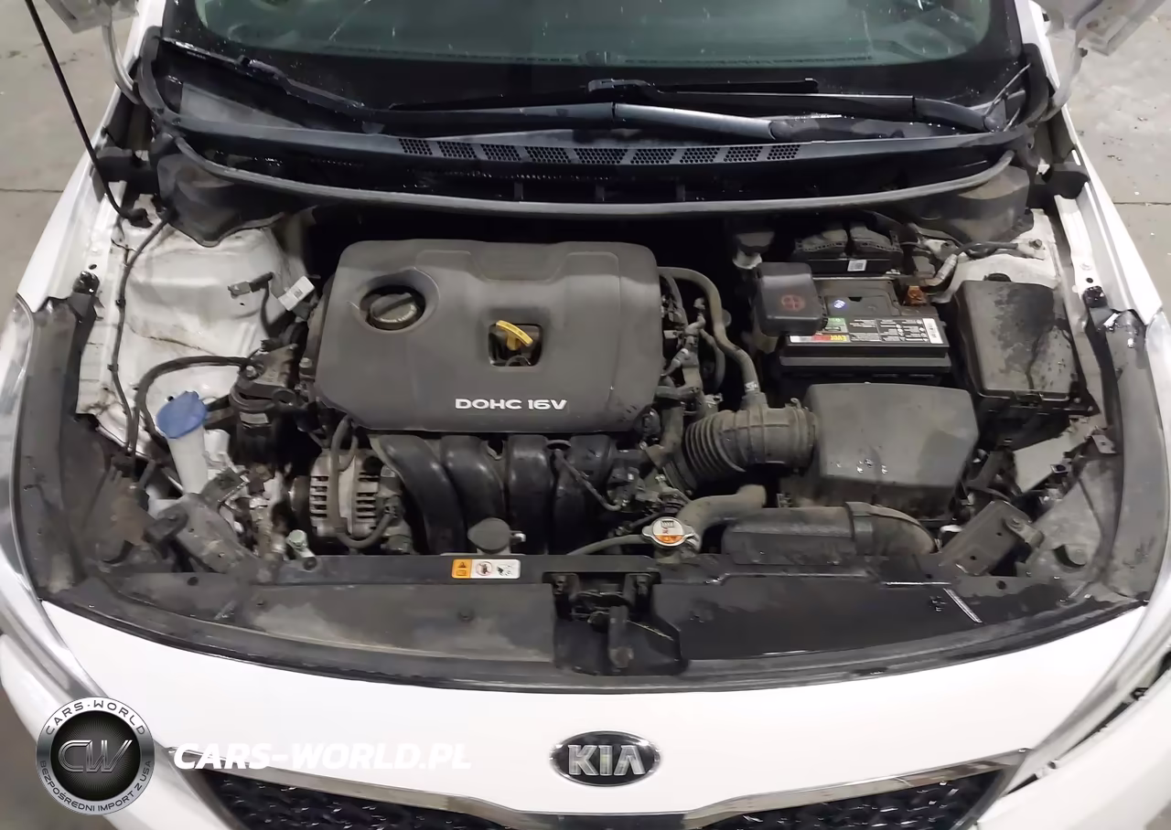 2018 Kia Forte Lx VIN:3KPFL4A71JE167044 - 10