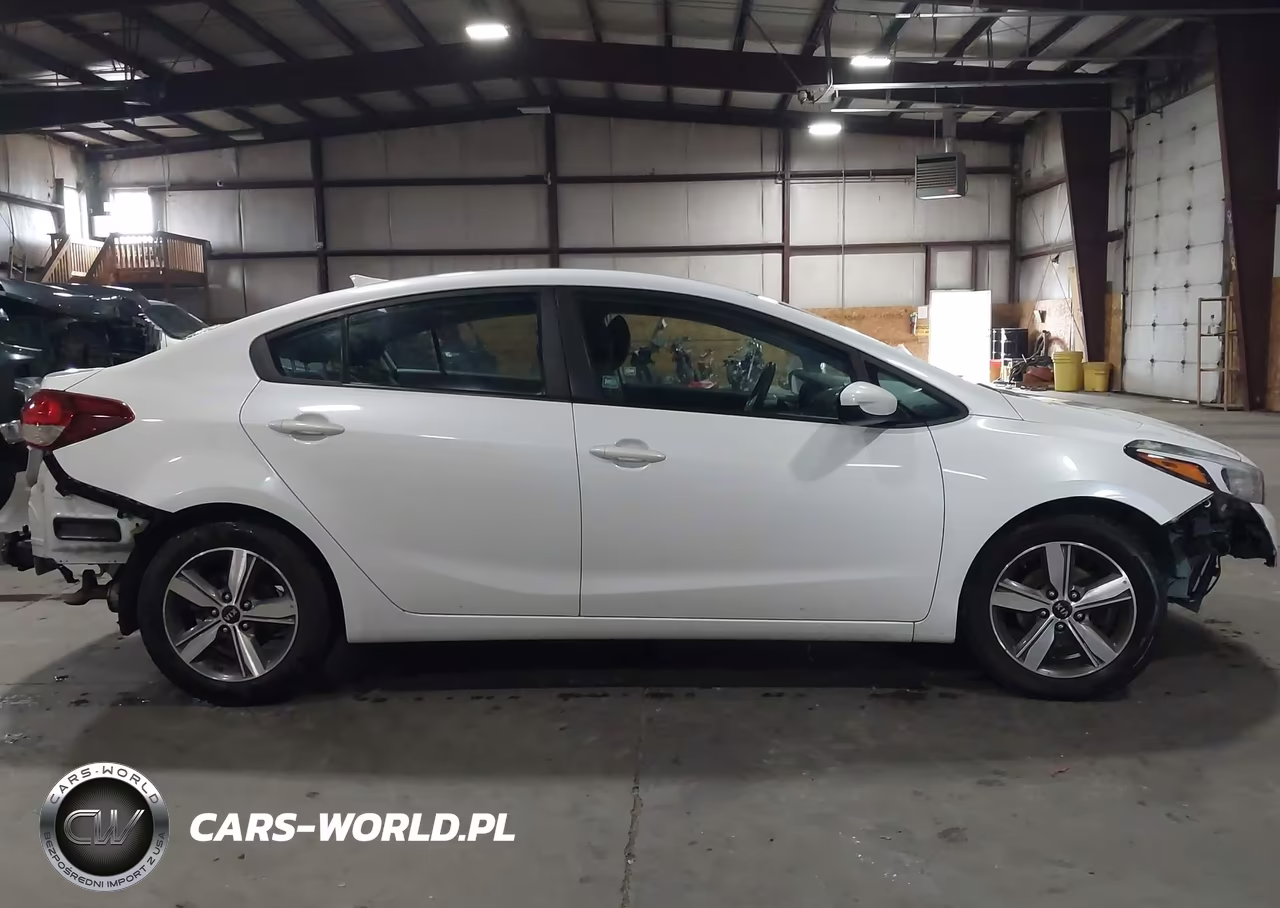 2018 Kia Forte Lx VIN:3KPFL4A71JE167044 - 13