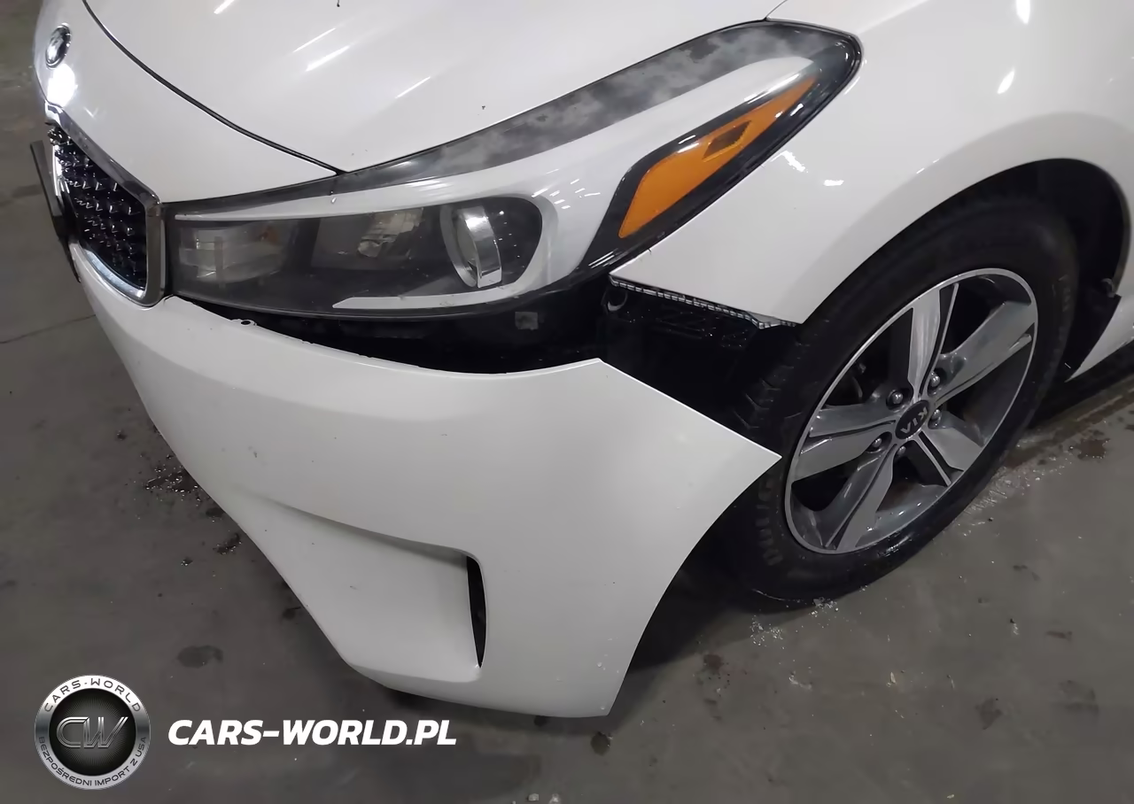 2018 Kia Forte Lx VIN:3KPFL4A71JE167044 - 17