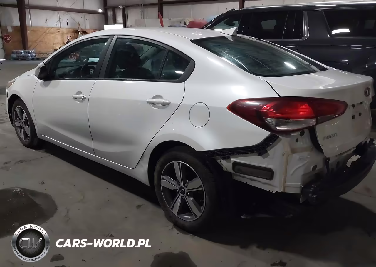 2018 Kia Forte Lx VIN:3KPFL4A71JE167044 - 3