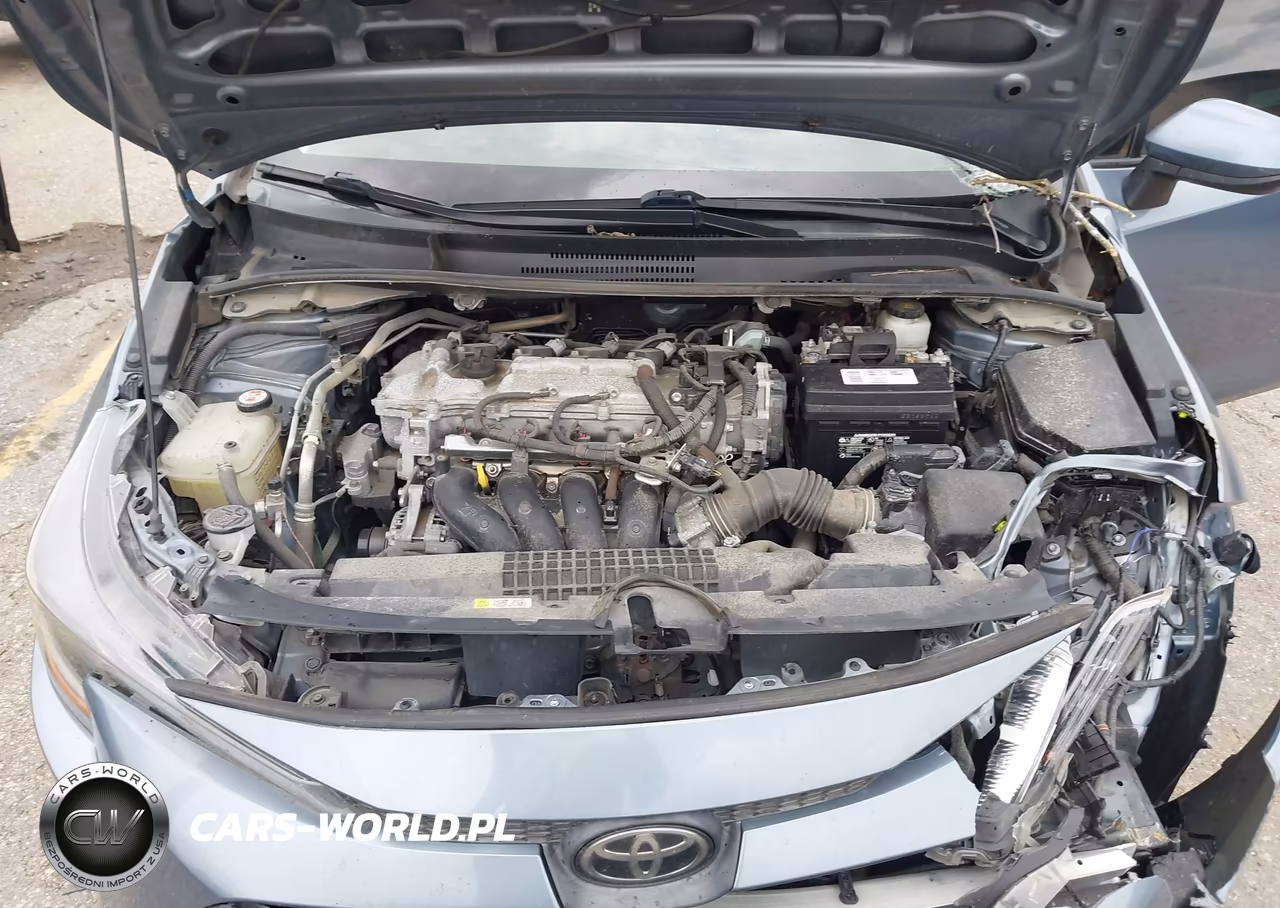 2020 Toyota Corolla Le VIN:5YFEPRAE2LP101759 - 10