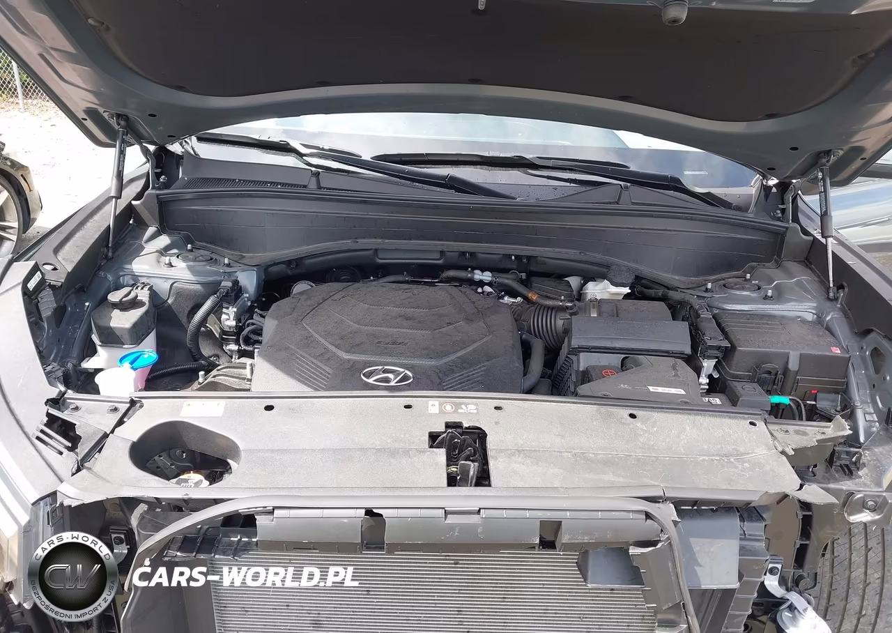 2025 Hyundai Palisade Sel VIN:KM8R24GE0SU913777 - 10