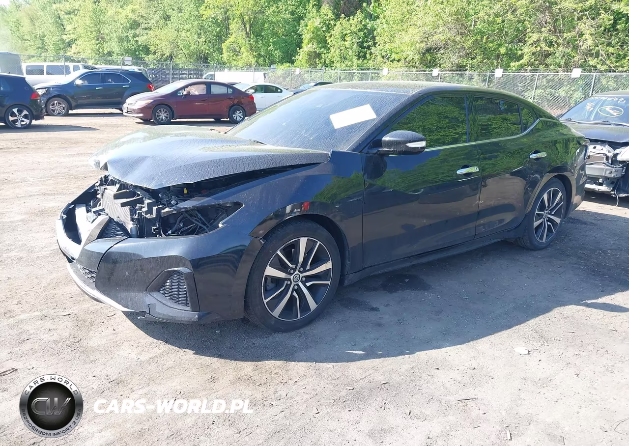 2022 Nissan Maxima Sv Xtronic Cvt VIN:1N4AA6CV2NC502404 - 2