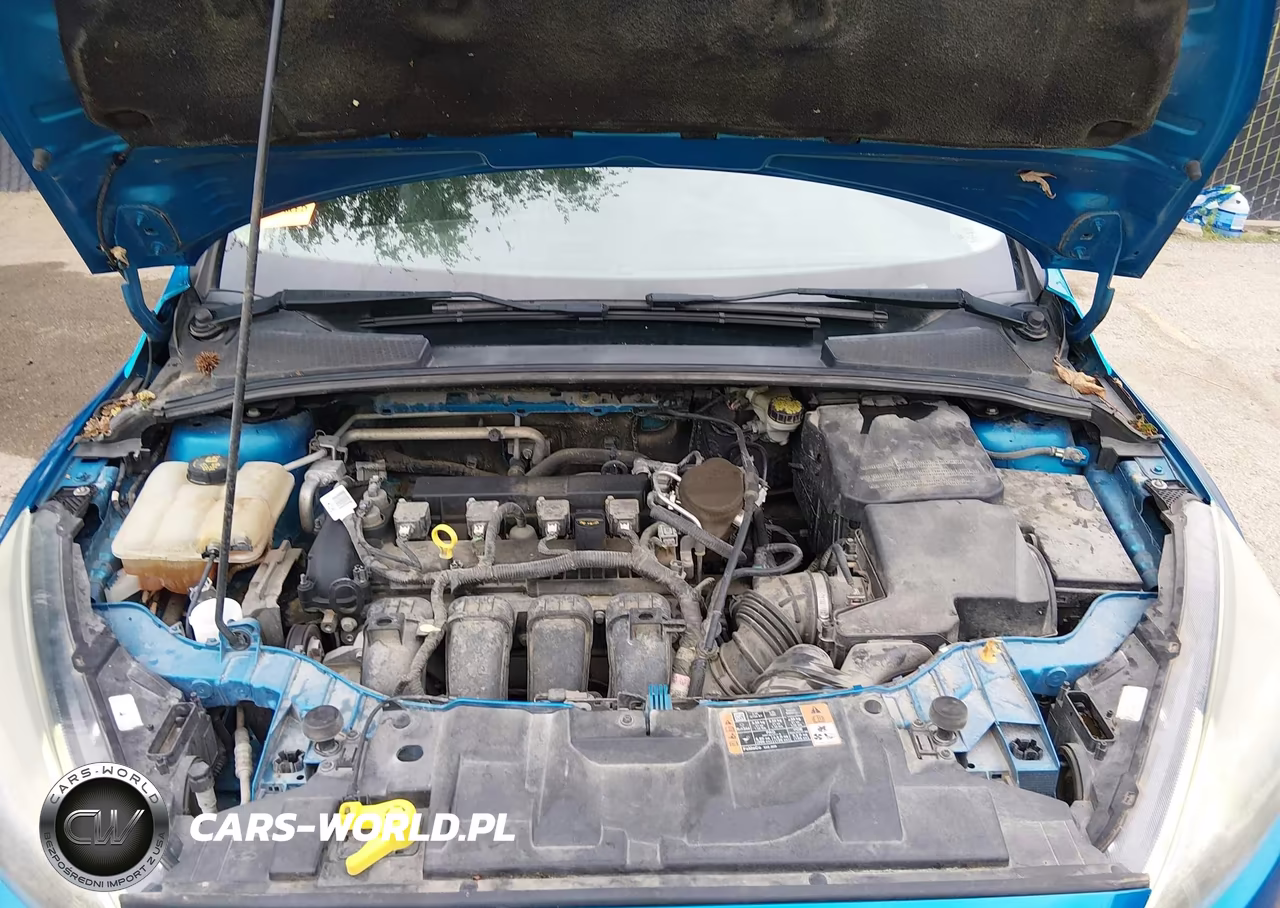 2015 Ford Focus Se VIN:1FADP3K2XFL330271 - 10