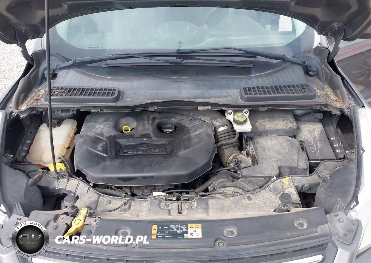 2014 Ford Escape Se VIN:1FMCU0G95EUE50003 - 10