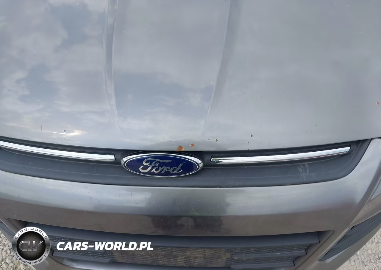 2014 Ford Escape Se VIN:1FMCU0G95EUE50003 - 14