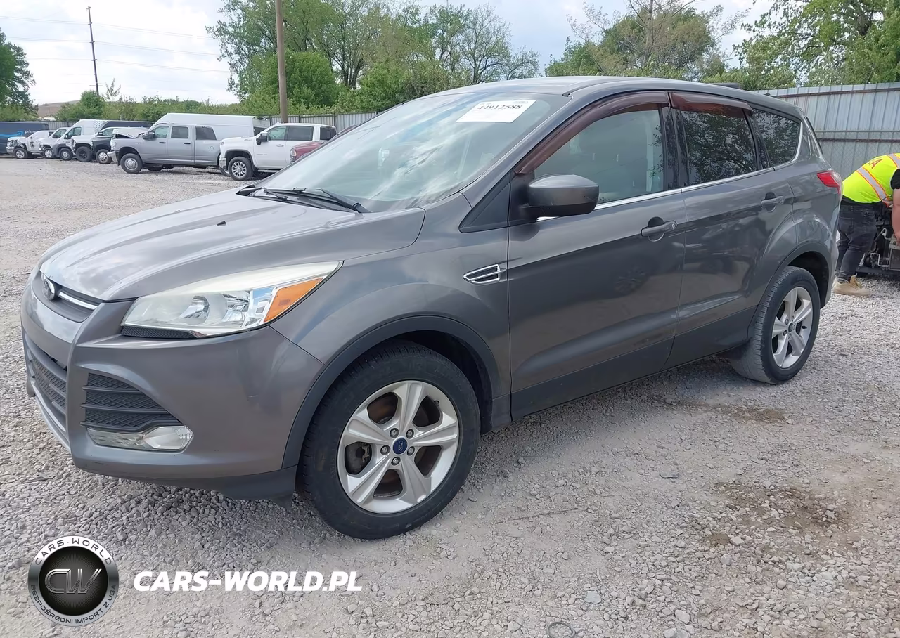 2014 Ford Escape Se VIN:1FMCU0G95EUE50003 - 2