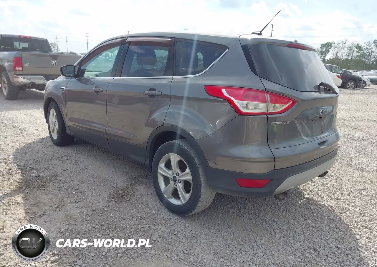 2014 Ford Escape Se VIN:1FMCU0G95EUE50003 - 3