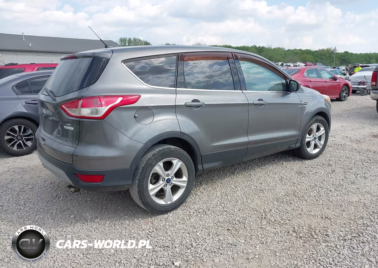 2014 Ford Escape Se VIN:1FMCU0G95EUE50003 - 4