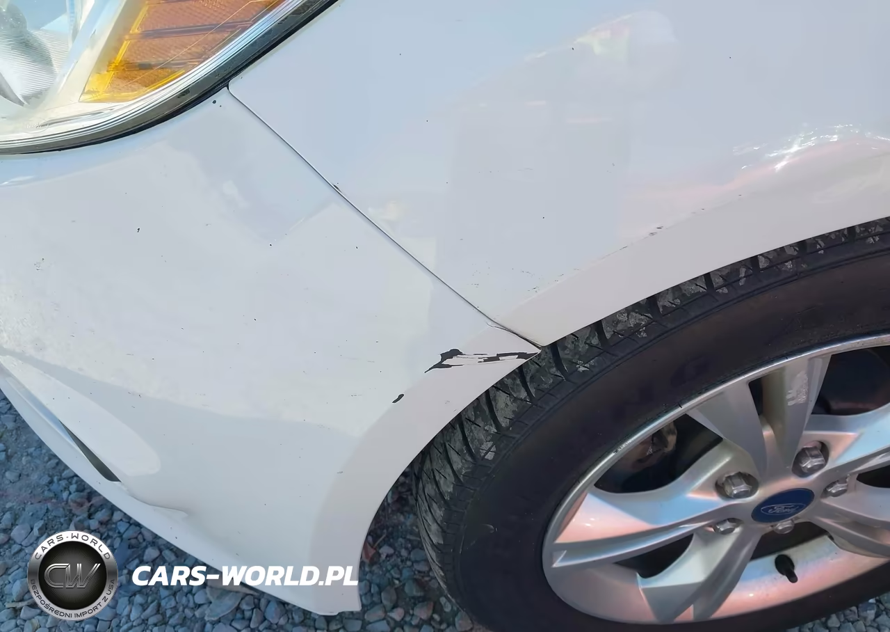 2013 Ford Focus Se VIN:1FADP3K29DL193885 - 12