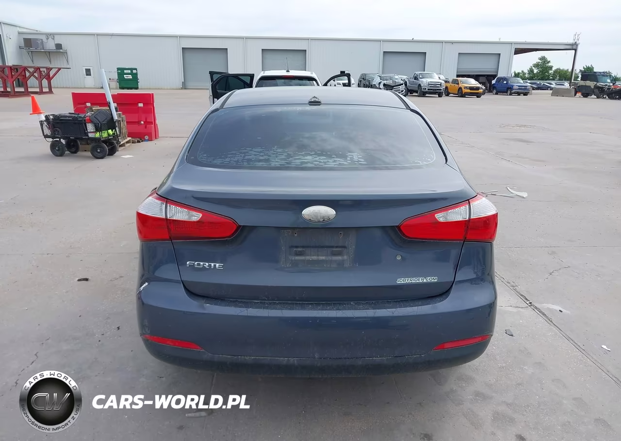 2014 Kia Forte Lx VIN:KNAFK4A65E5063732 - 17