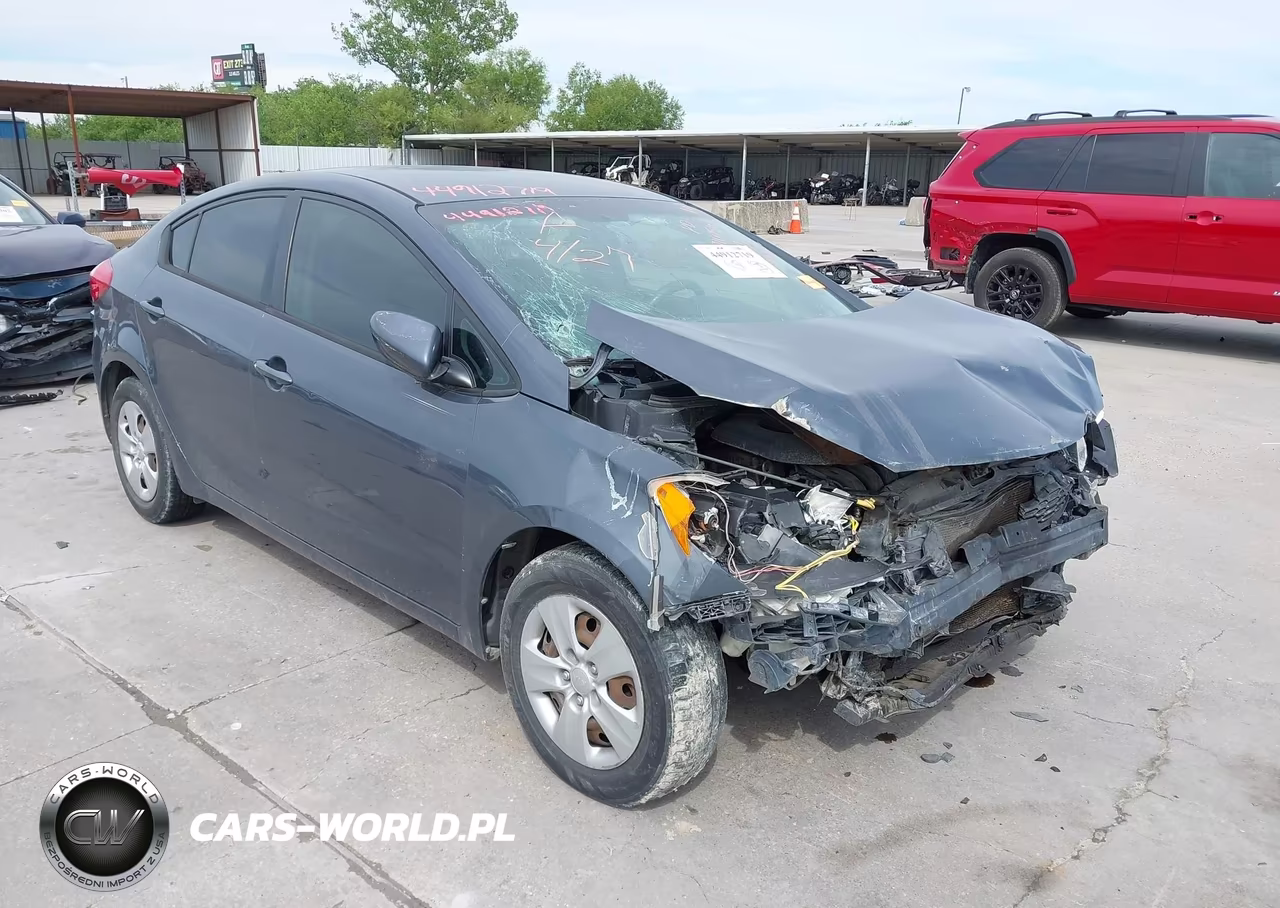 2014 Kia Forte Lx VIN:KNAFK4A65E5063732 - 19