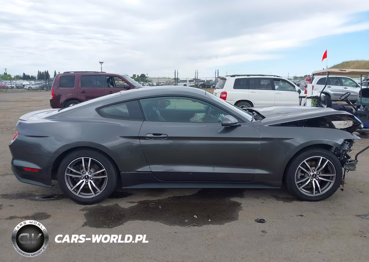 2015 Ford Mustang Ecoboost VIN:1FA6P8TH6F5388035 - 14