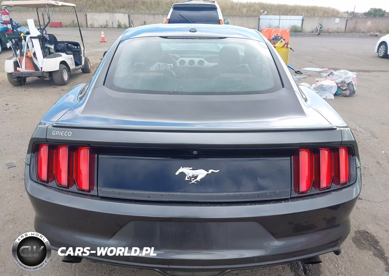 2015 Ford Mustang Ecoboost VIN:1FA6P8TH6F5388035 - 17