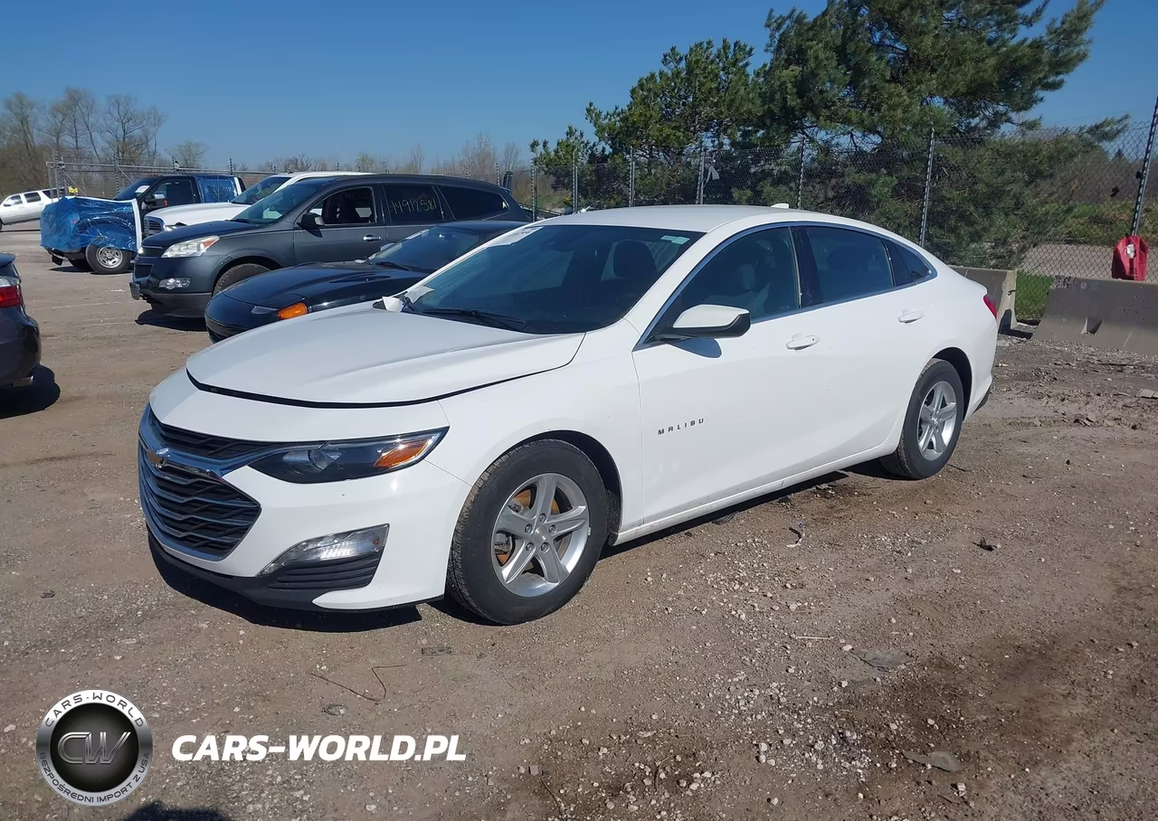 2024 Chevrolet Malibu Fwd 1Lt VIN:1G1ZD5ST6RF123904 - 2