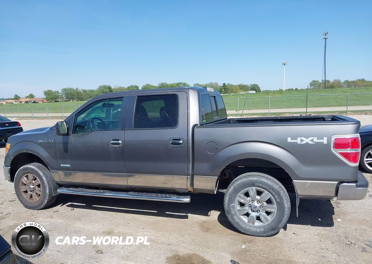 2011 Ford F-150 Xlt VIN:1FTFW1ET8BFC65055 - 15