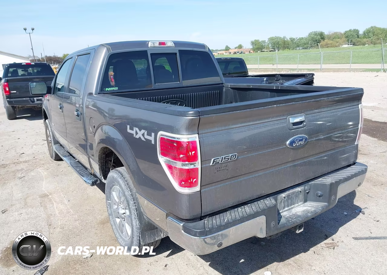 2011 Ford F-150 Xlt VIN:1FTFW1ET8BFC65055 - 3