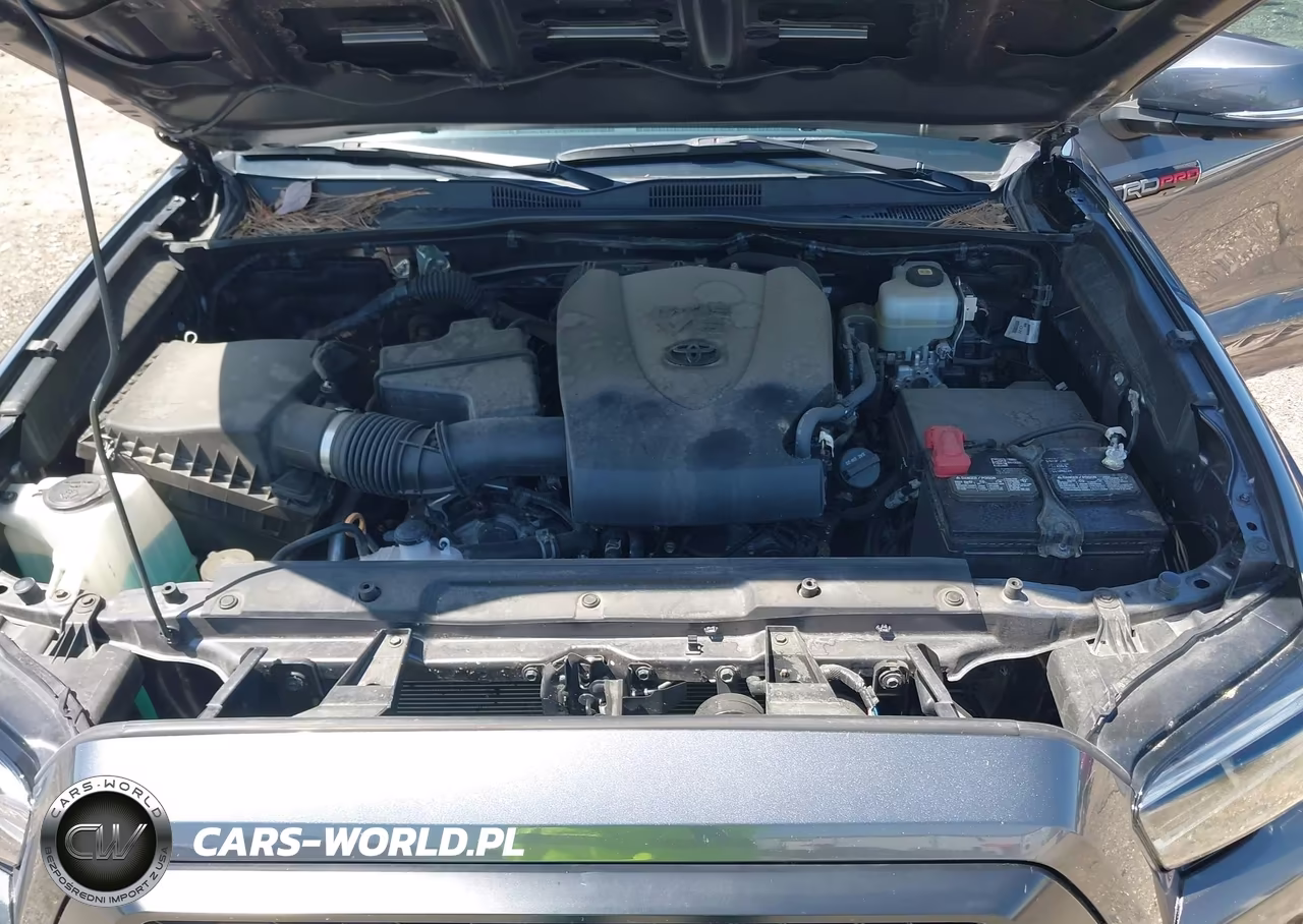 2021 Toyota Tacoma Trd Pro VIN:5TFCZ5AN4MX262787 - 10