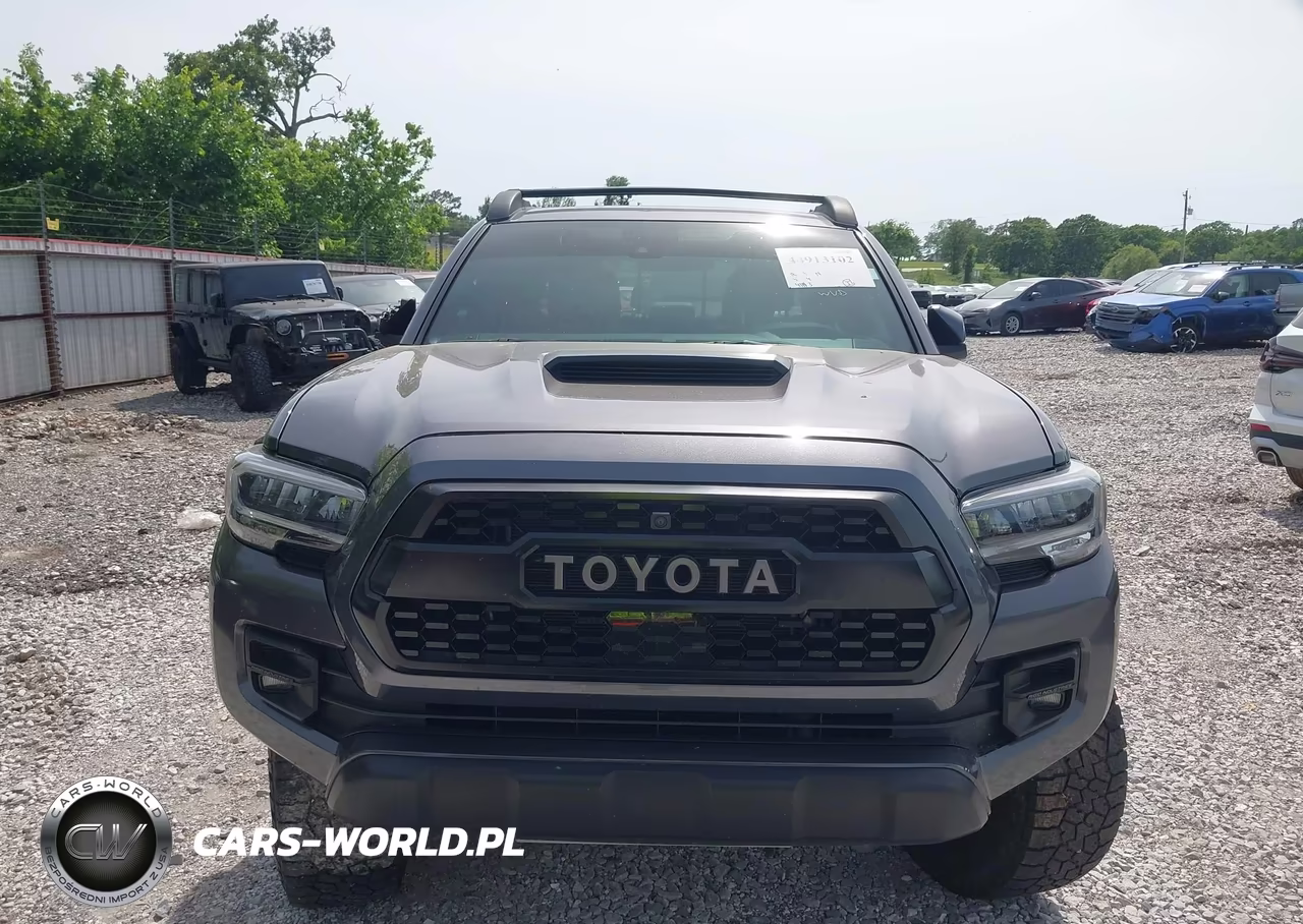 2021 Toyota Tacoma Trd Pro VIN:5TFCZ5AN4MX262787 - 12