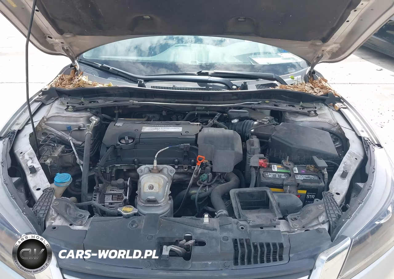 2013 Honda Accord Ex-L VIN:1HGCR2F84DA116346 - 10