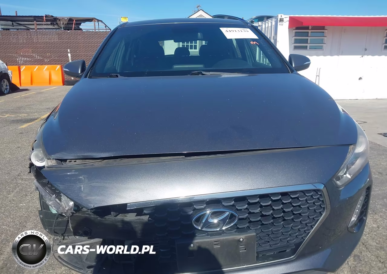 2018 Hyundai Elantra Gt Sport VIN:KMHH55LCXJU047873 - 12