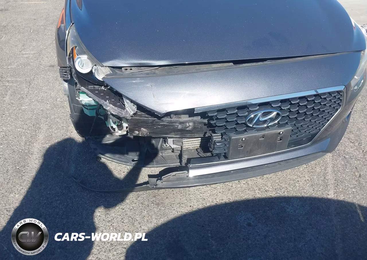 2018 Hyundai Elantra Gt Sport VIN:KMHH55LCXJU047873 - 17