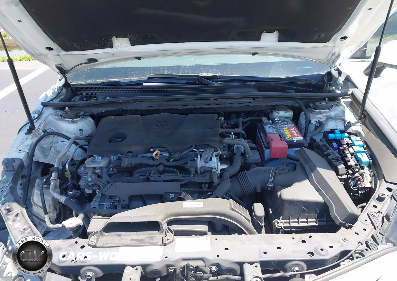 2019 Toyota Camry Se VIN:4T1B11HK3KU854263 - 10