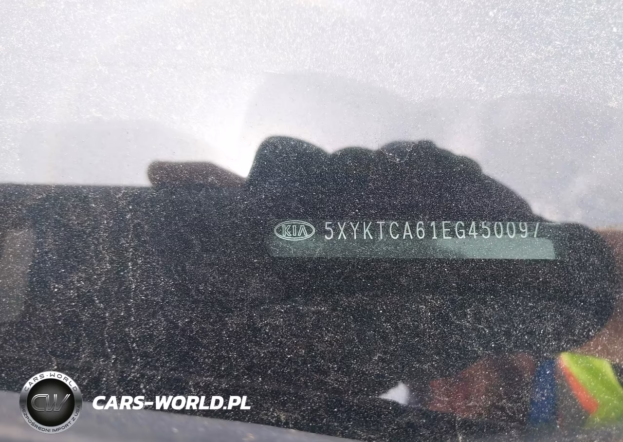 2014 Kia Sorento Lx VIN:5XYKTCA61EG450097 - 9