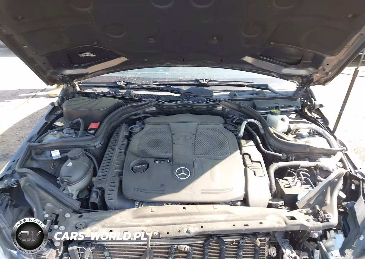 2013 Mercedes-Benz C 300 Luxury 4Matic VIN:WDDGF8AB2DR268809 - 10