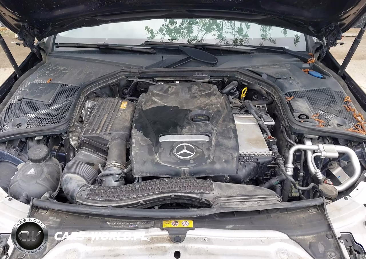 2017 Mercedes-Benz C 300 4Matic VIN:WDDWJ4KB2HF509275 - 10