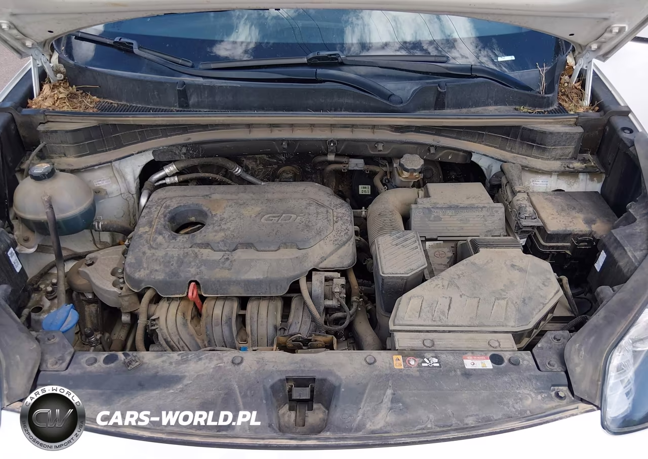 2020 Kia Sportage Lx VIN:KNDPMCAC1L7645149 - 10