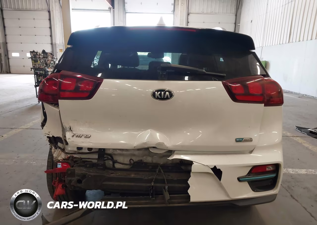 2020 Kia Niro Ev Ex VIN:KNDCC3LG4L5055718 - 17