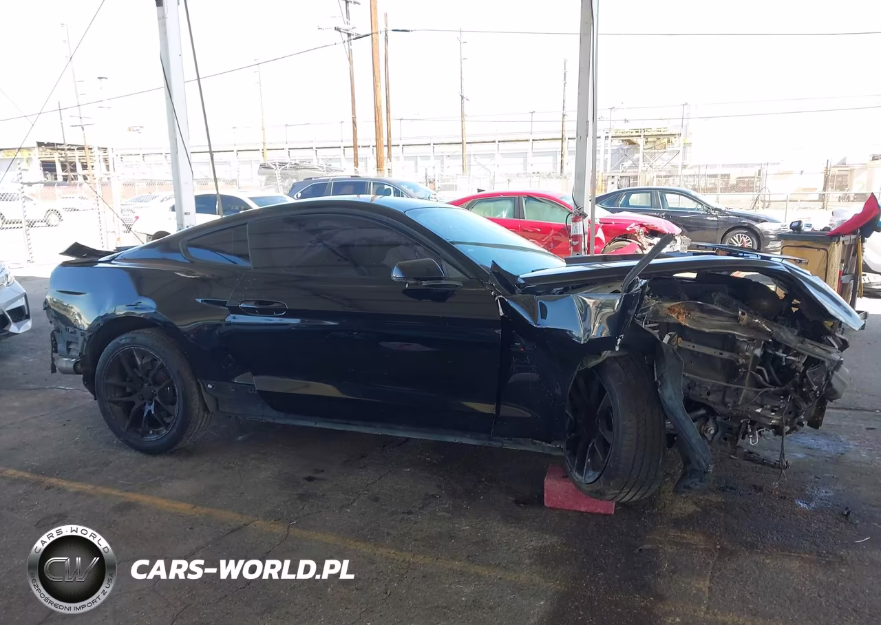 2016 Ford Mustang Gt Premium VIN:1FA6P8CF3G5291861 - 13