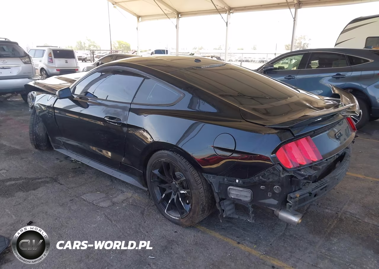 2016 Ford Mustang Gt Premium VIN:1FA6P8CF3G5291861 - 3