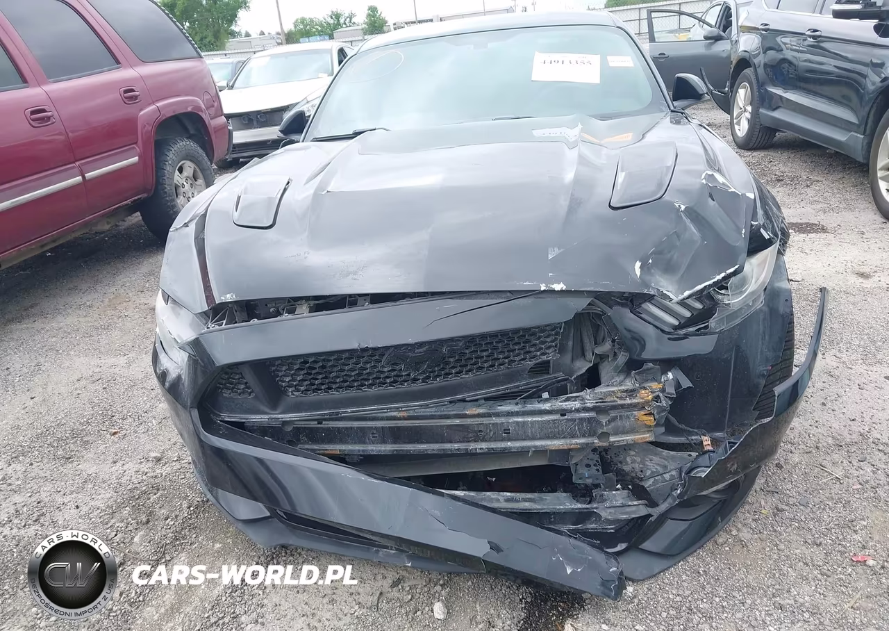 2016 Ford Mustang Gt Premium VIN:1FA6P8CF5G5251829 - 12