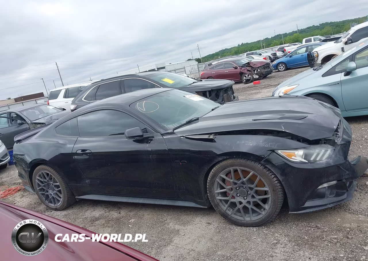 2016 Ford Mustang Gt Premium VIN:1FA6P8CF5G5251829 - 13