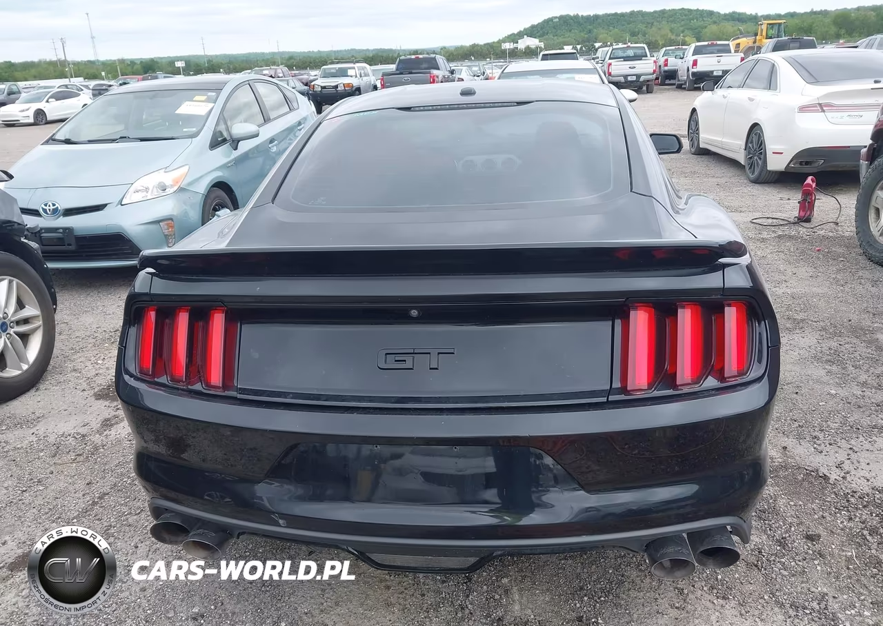2016 Ford Mustang Gt Premium VIN:1FA6P8CF5G5251829 - 16