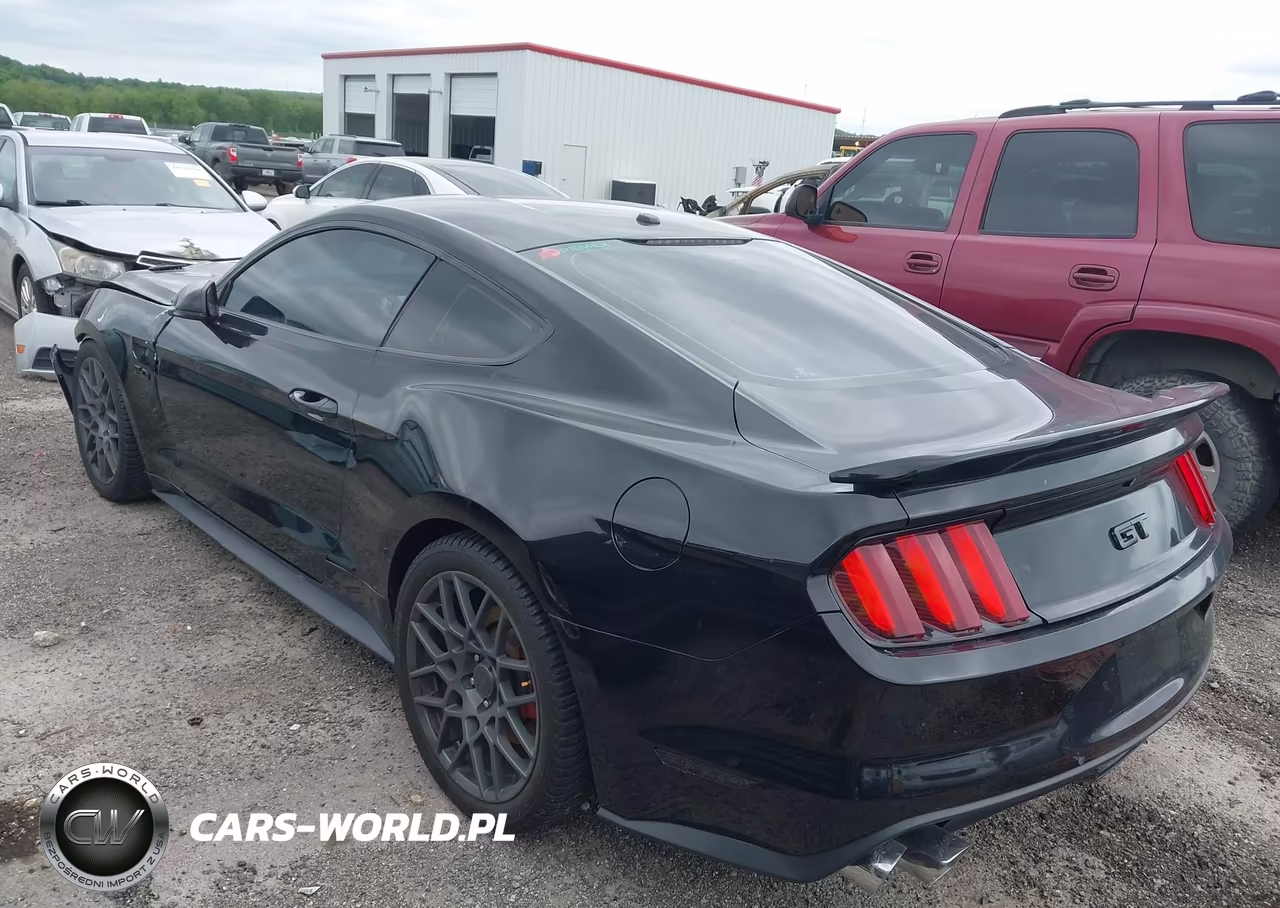 2016 Ford Mustang Gt Premium VIN:1FA6P8CF5G5251829 - 3