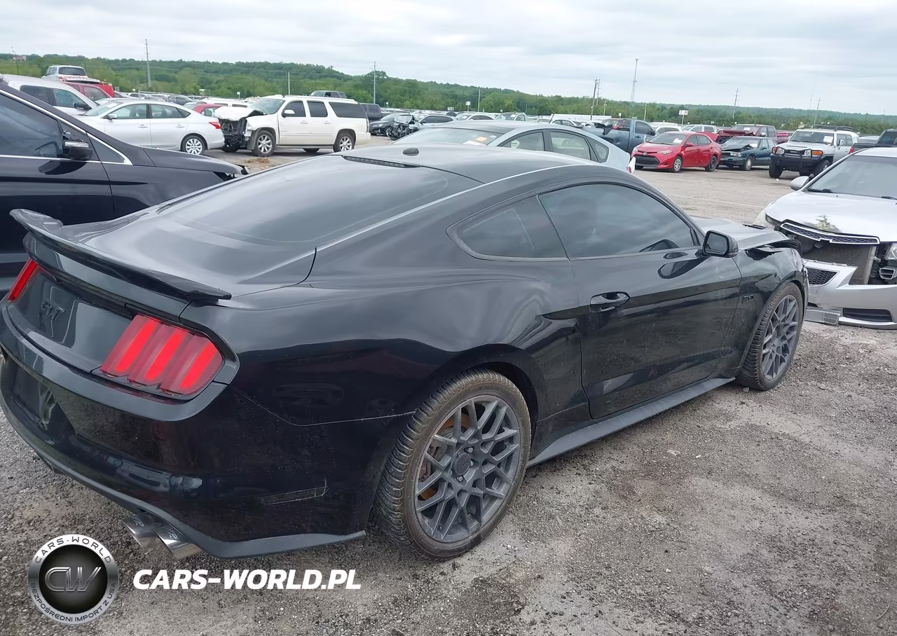 2016 Ford Mustang Gt Premium VIN:1FA6P8CF5G5251829 - 4