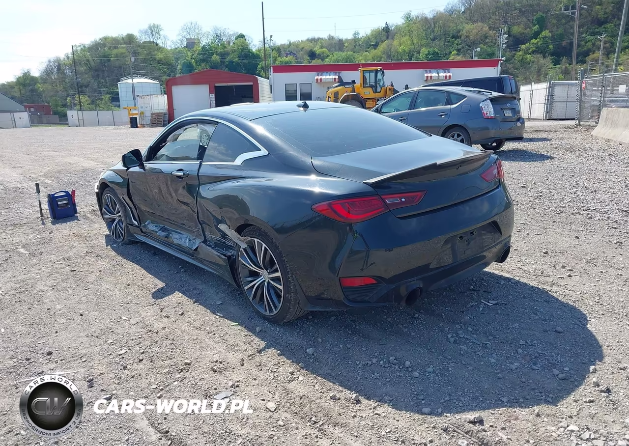 2019 Infiniti Q60 3.0T Luxe VIN:JN1EV7EL6KM291587 - 3