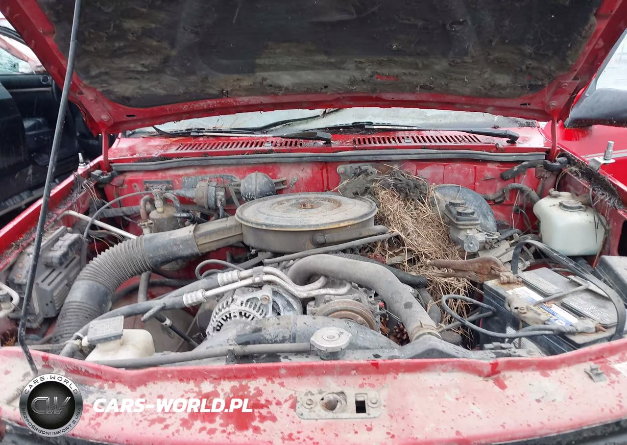 1995 Dodge Dakota VIN:1B7GG23YXSS251042 - 10
