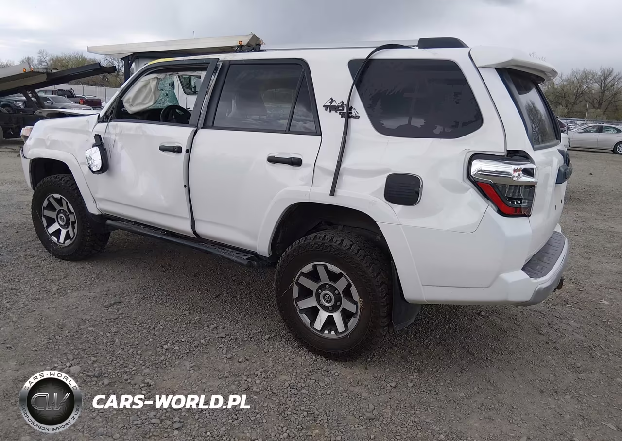 2018 Toyota 4Runner Trd Off Road Premium VIN:JTEBU5JR1J5565431 - 3