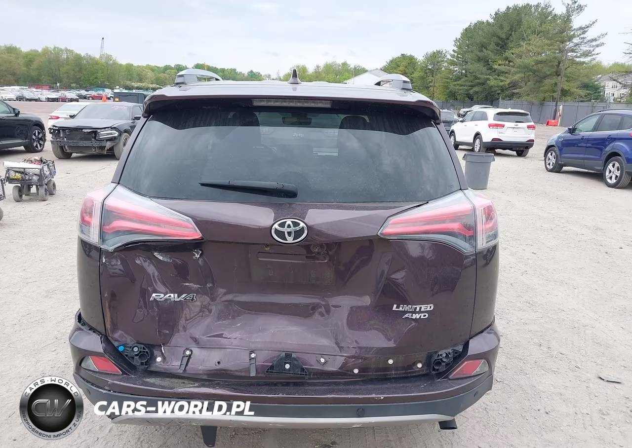 2017 Toyota Rav4 Limited VIN:2T3DFREV8HW603567 - 17