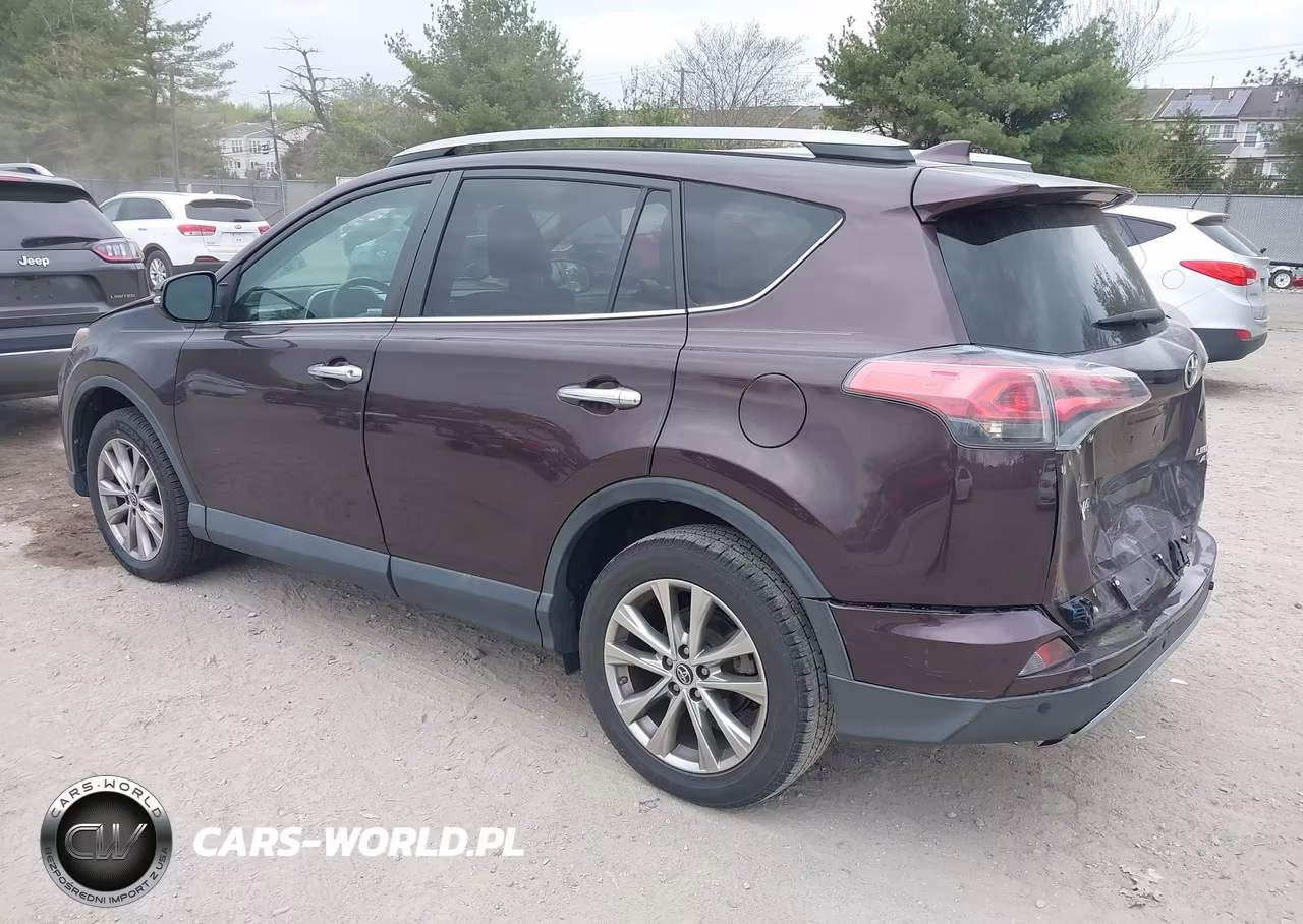 2017 Toyota Rav4 Limited VIN:2T3DFREV8HW603567 - 3