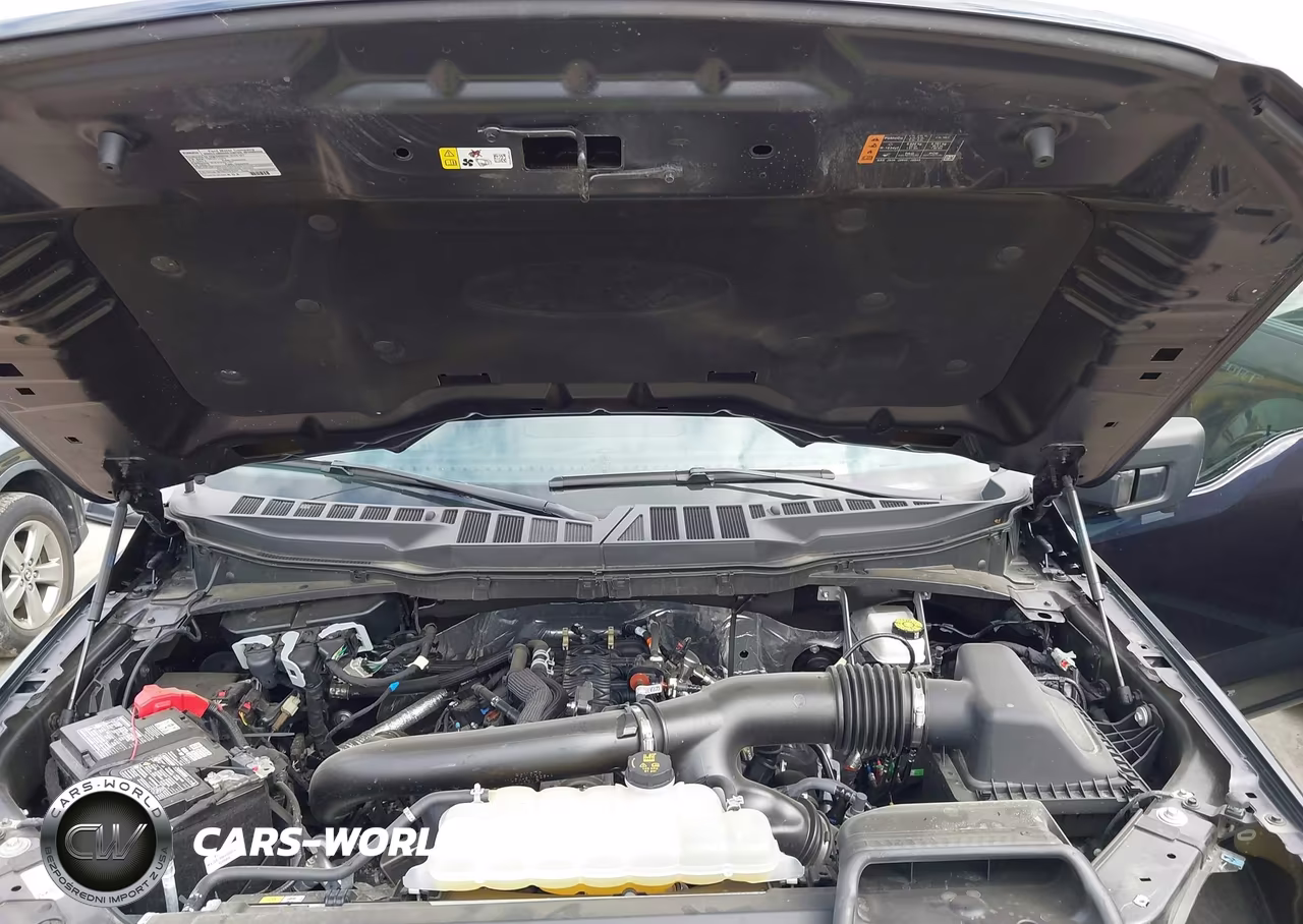 2025 Ford F-150 Xlt VIN:1FTFW3L84SFB06947 - 10