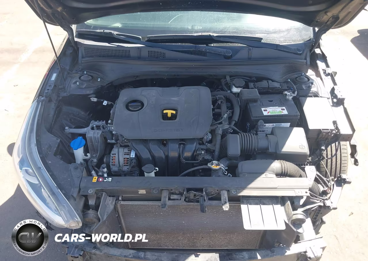 2020 Kia Forte Fe VIN:3KPF24AD1LE173826 - 10